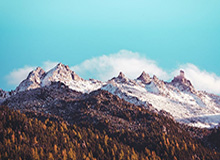 呼吸：WBG真不一样了，JDG等着吧，微博天生赢家